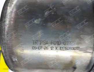 Katalyzátor PSA F010 - 2