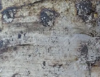 Katalyzátor PSA K 333 - 2