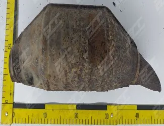 Katalyzátor VW 8D0 131 701 BH / 8D0 178 J - 2